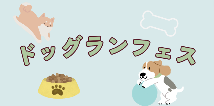 カワイイがいっぱい！ワンダーランド